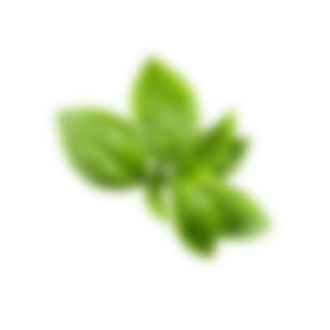 Basil leaves